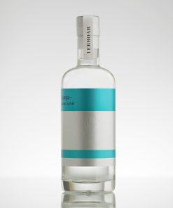 TERROAR Dunja 0,70L voćna rakija od dunje, jak alkohol 40%